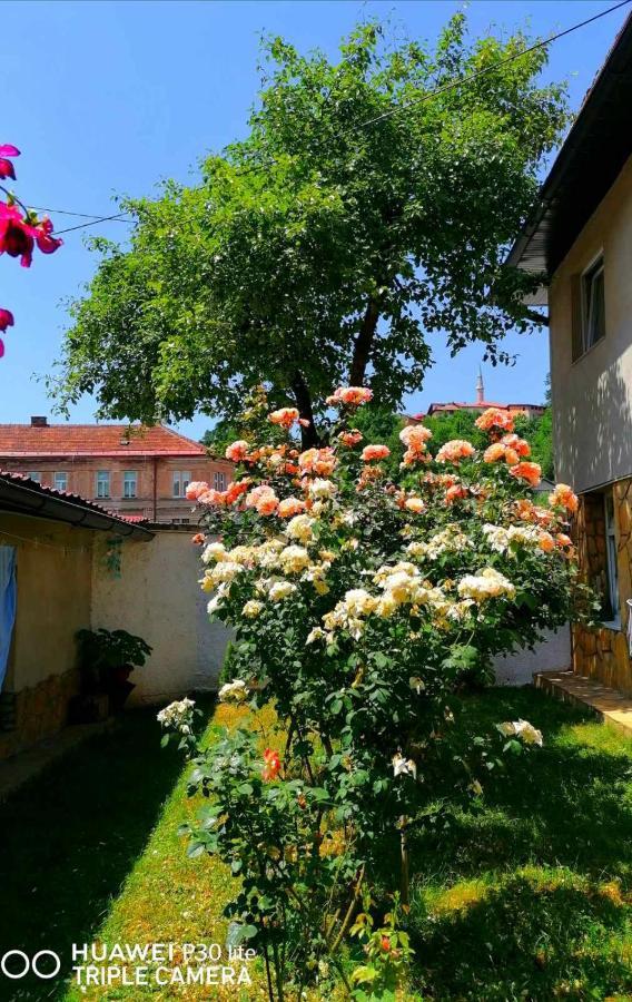 Modern&Cozy Bosnian House With Garden+Free Parking Hotel Sarajevo Exterior photo