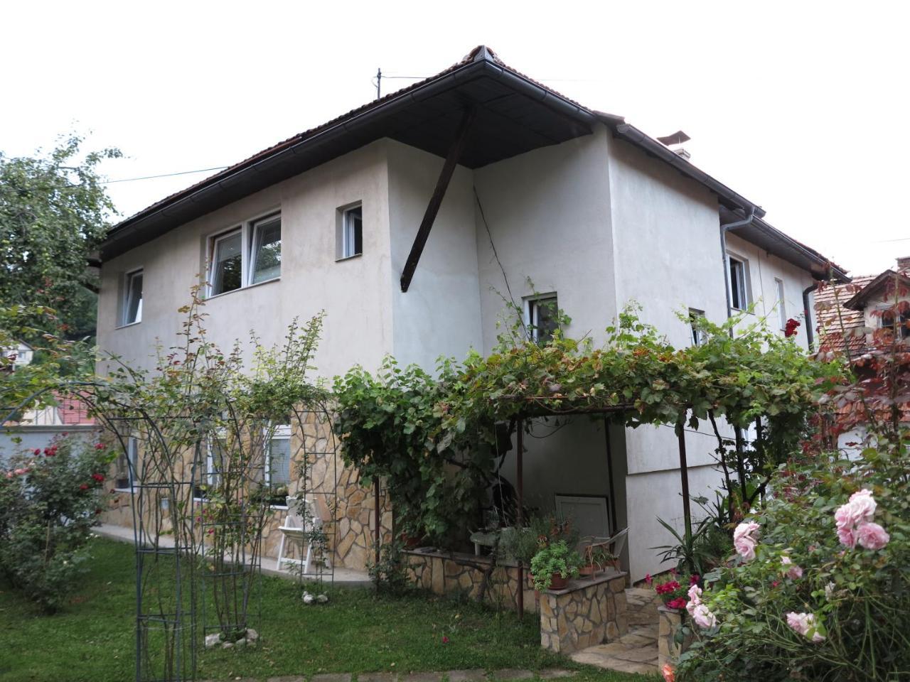 Modern&Cozy Bosnian House With Garden+Free Parking Hotel Sarajevo Exterior photo